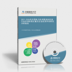 2021-2026年中國電力技術(shù)服務和咨詢行業(yè)市場供需及重點企業(yè)投資評估研究分析